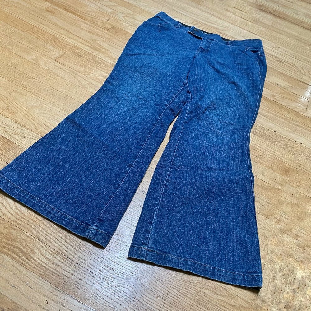 Lane Bryant T3 flare leg jeans 18 Average